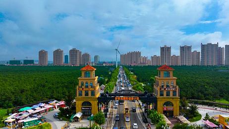 十大黄色应用：解码隐私守护者：揭秘数字生活里的秘密乐园