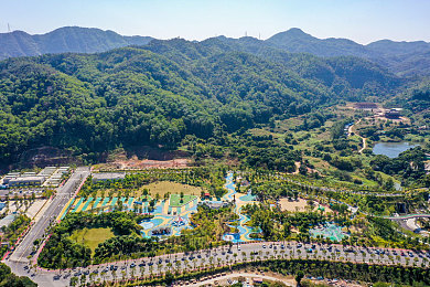 黄色软件免费下载oppo：免费获取OPPO手机黄色应用，海量资源任你挑选，体验无忧-5