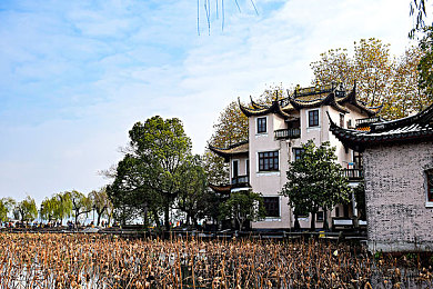 狗头萝26呼啦圈视频网盘：休闲竞技新体验：探索《狗头萝26呼啦圈》技巧与乐趣-2