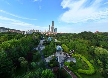 miy最新网址：米游社全新网址发布，畅享便捷游戏体验，引领行业新变革