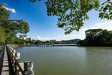 404黄台免费下载：揭秘深网宝藏：“404”代码背后，海量免费资源等你探索