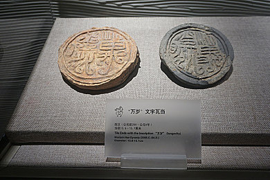 向日葵视频色板app下载：短视频创作新风尚，一“板”多能启灵感-2