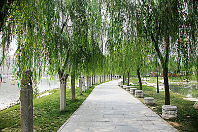 艳女app账号怎么注销：轻松注销，告别艳女，开启游戏新旅程，畅游精彩世界-2