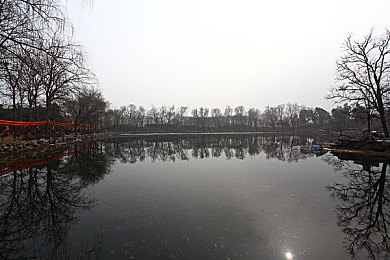 吃上摸下：“温馨家宴，绿色共享，打造潮流餐饮新体验”-2