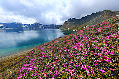 葫芦娃里不卖药千万视频：揭秘经典动画谜团：葫芦娃纯真记忆，网络恶搞视频真相大白-3