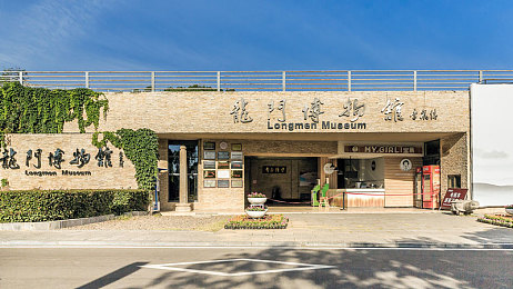 罗宾和乔巴：智慧之剑与忠诚之盾：共创冒险传奇之旅-2