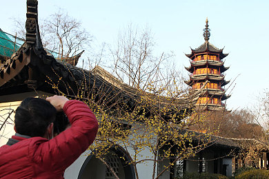 黄色链接.3：揭秘神秘游戏世界，畅享互动冒险盛宴-2