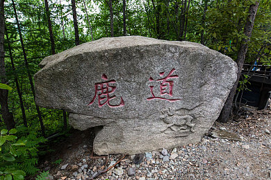 免费B站看大片真人直播：B站全新服务：免费大片真人直播，视听盛宴来袭，用户福利再升级-3