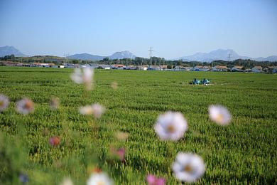 北京富婆挑战黑人25厘米：“身高跨越，文化碰撞：一场超越肤色与身高的心灵对话”-1