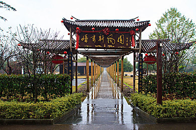 caopeng超碰：探秘新游戏魅力：“超碰”玩法独特，画面精美，社交互动精彩纷呈-1