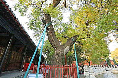 69乐园相册日志的收获与感悟：虚拟空间里的快乐时光：69乐园相册日志网友收获感悟大盘点