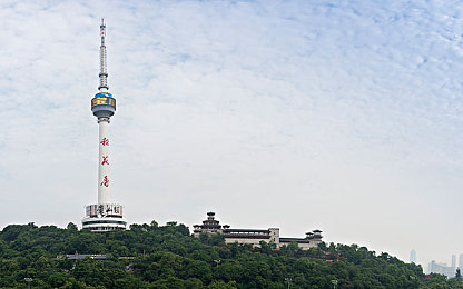 舞姬直播：舞动光影，直播舞姬，演绎数字时代娱乐盛宴-2