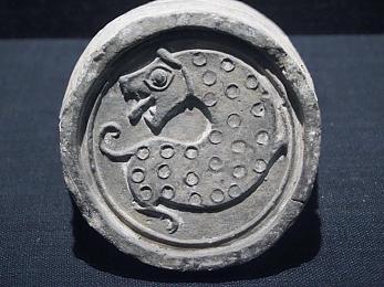 达达兔：社交达人秀，趣味生活圈-1