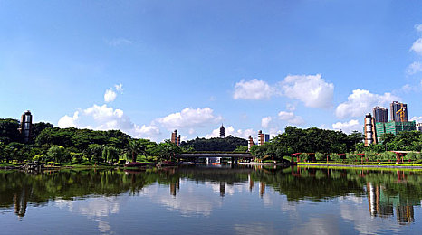 绿巨人黄品：漫威传奇，绿巨人收藏家的文化传承之旅-3