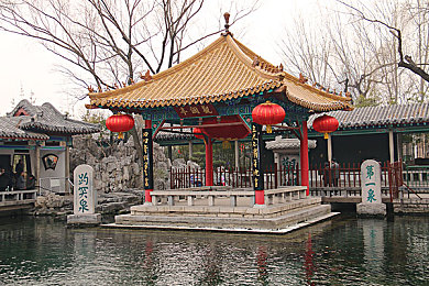 十大污软件：揭秘十大神秘“污”界神器：隐私守护与便捷体验并存-1