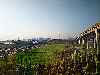 黄色软件下载6.6.0：暗流涌动：揭秘色情应用市场狂潮与社会监管挑战-3