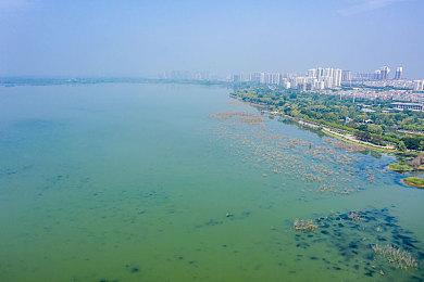 palipali2轻量版线路3：探险寻宝轻松玩，palipali轻量版乐趣多
