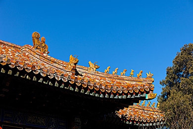 高清无码一区：网络视听新纪元，高清影视风起云涌，引领观影新潮流-4