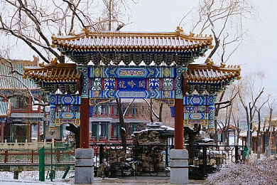 福建菠萝网大全：福建菠萝产业新引擎：揭秘助力福建菠萝腾飞的线上平台-3