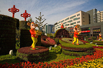 我干网：梦幻征途，畅游无尽奇幻冒险之旅-3