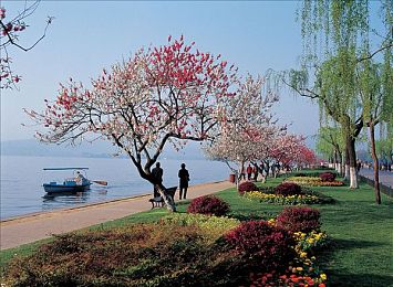 海影库：数字影院，观影新境界-4