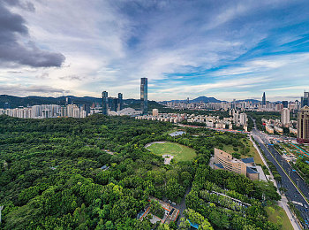 为了升职我请张行长吃饭：职场宴请背后的升迁智慧，道德与实力共舞-5