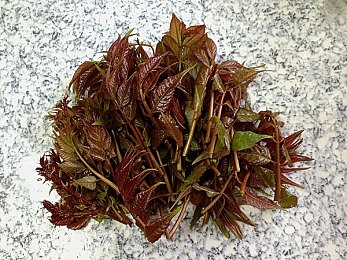视频三区：星河探险，视听盛宴，解锁多元影视世界-2