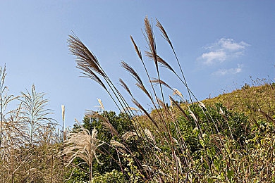 久久久精品：游戏利器助力巅峰，一招制胜赢全场-3