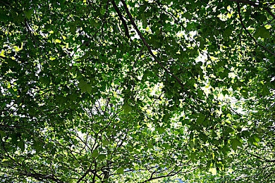 管饱分拣中心最新官方网站：奇幻冒险新篇章：探秘管饱世界，解锁游戏攻略攻略攻略-3