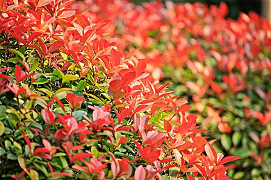黄色软件下载安装3.0：软件更新浪潮再起：全新体验引领潮流，揭秘“黄色软件”3.0版本革新之旅-1