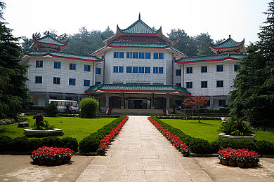 雏鸟app圆你一个梦里梦：梦想孵化器，共筑云端飞翔梦-4