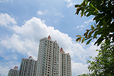 99九九视频：直播视界新宠：探寻＂九九＂魅力，共享游戏欢乐盛宴-2