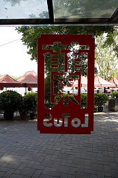 黑人解禁：解封偏见，共创平等：黑人发声之旅-3