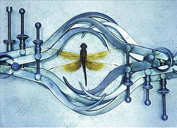 欧美黑人又粗又大：网络热议：“身材标签”揭示种族歧视与文化误解的双重困境-3