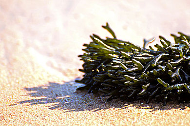 特级西西444WWW高清大视频：沉浸视觉狂潮，海量资源等你探索——揭秘顶级高清观影天堂-3