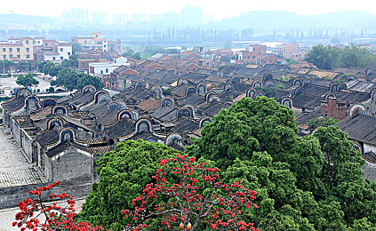 富婆被按摩师摸硬了：都市按摩师：手艺精湛，体验多元客群，打造按摩传奇