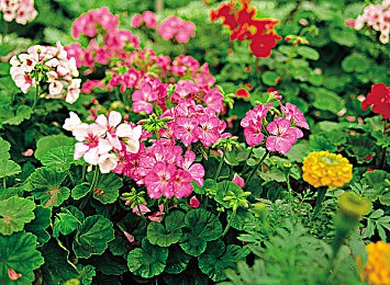 oppo黄色软键：OPPO黄键奇缘，指尖操控新体验-4