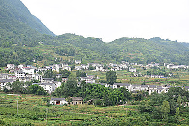 泰山1995出版意大利：泰山经典之作意大利绽放，中意文化交流新篇章开启-3