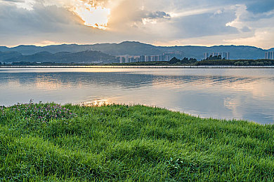 五月天天：夏日田园乐章，模拟生活新篇章-4