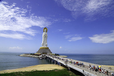 9岁孩子小马拉大车姐弟：贫瘠土地上绽放的生命之花：河南姐弟逆境中的团结与希望-3