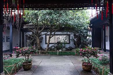 欧美亚洲正在：全球复苏浪潮中的区域共赢之旅-4