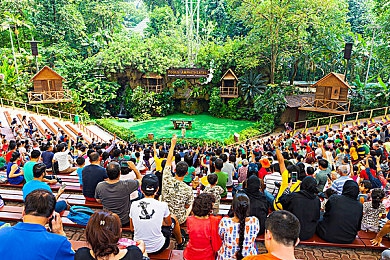西方44大但人文艺技术：艺术科技融合之旅：探索西方44大创新艺术奇迹-4