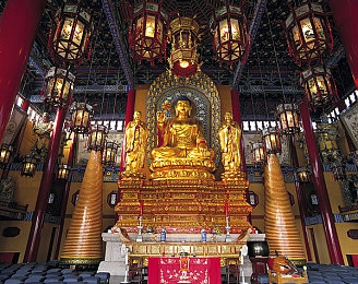 日本护士体内she精2XXX：沉浸护理情感，揭秘人性深处——护士世界奇幻之旅-4