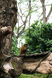 成人传奇下载：奇幻世界深度探险，成人传奇MMORPG带你领略非凡传奇之旅-4