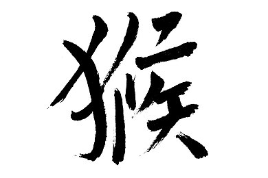 黄色软件下载3.3版本安装：“功能升级引热议，安全体验双丰收，新版本软件体验大揭秘！”-2