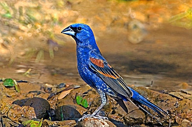 东方影库1800d f：科技映像，光影盛宴：影院革新潮流，沉浸体验引领未来-2
