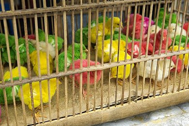 男生把困困放入女生定眼里：《定眼奇缘》：创意游戏引领情感冒险潮流，探寻爱情与智慧的交织之旅-2