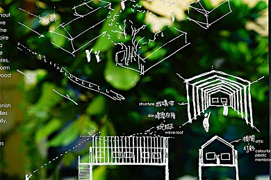 巨大 吸 妓女：破茧重生：解码城市化阴影下的社会毒瘤-4