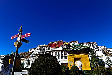 1.《奶牛娘牧场》安卓版下载：农场经营新潮流，《奶牛娘牧场》安卓版下载，开启欢乐牧场生活-4