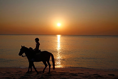 中国护士少妇XXXX做受：沉浸护理世界，体验温馨医患情-2